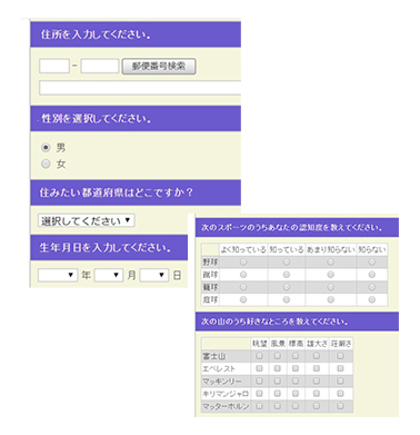 豊富な設問形式